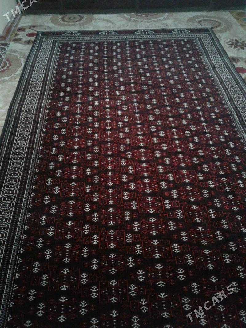 Haly - Bereket - img 5