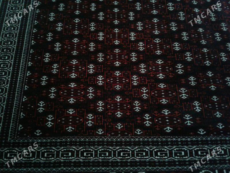 Haly - Bereket - img 6