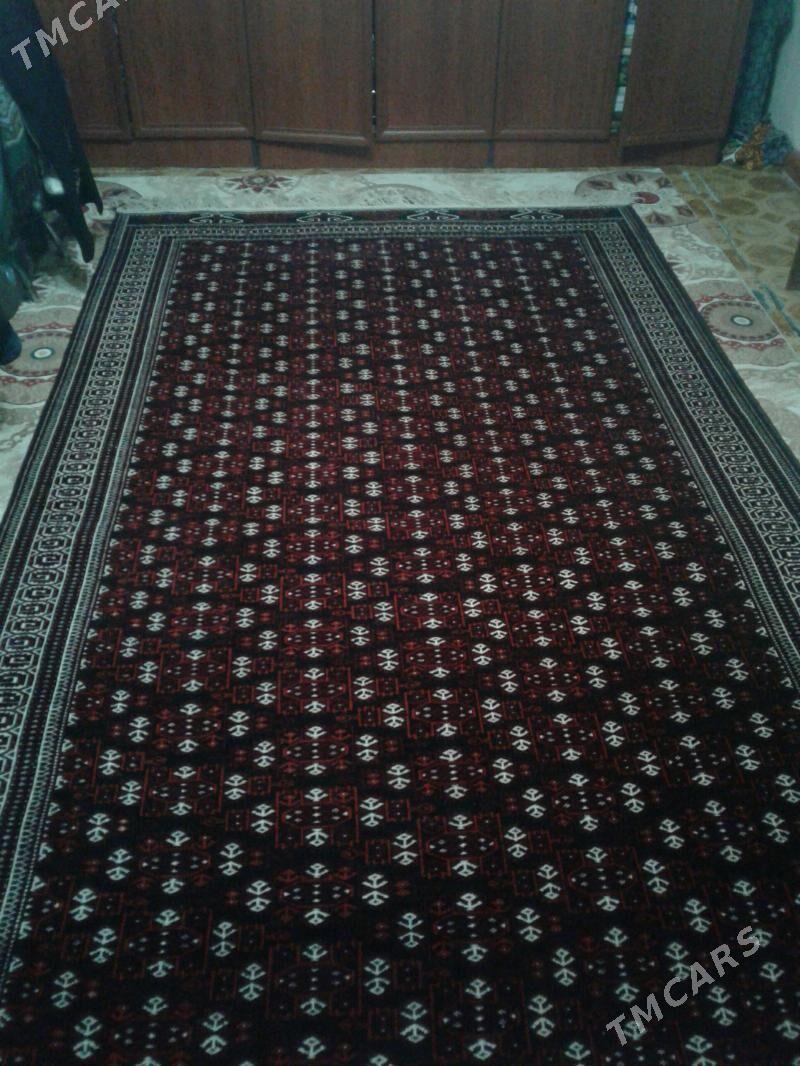 Haly - Bereket - img 4