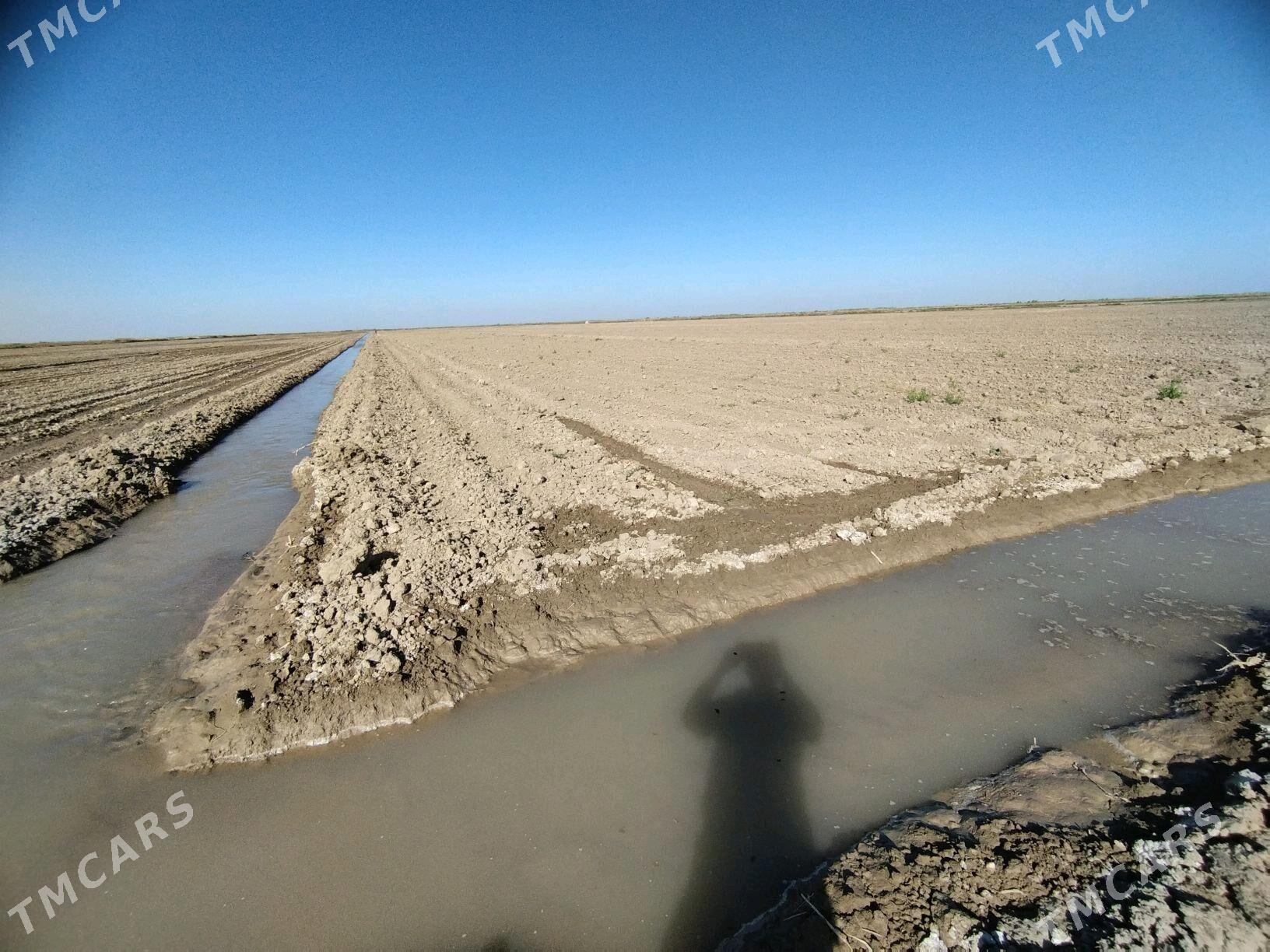 işgär gerek - Tejen - img 3