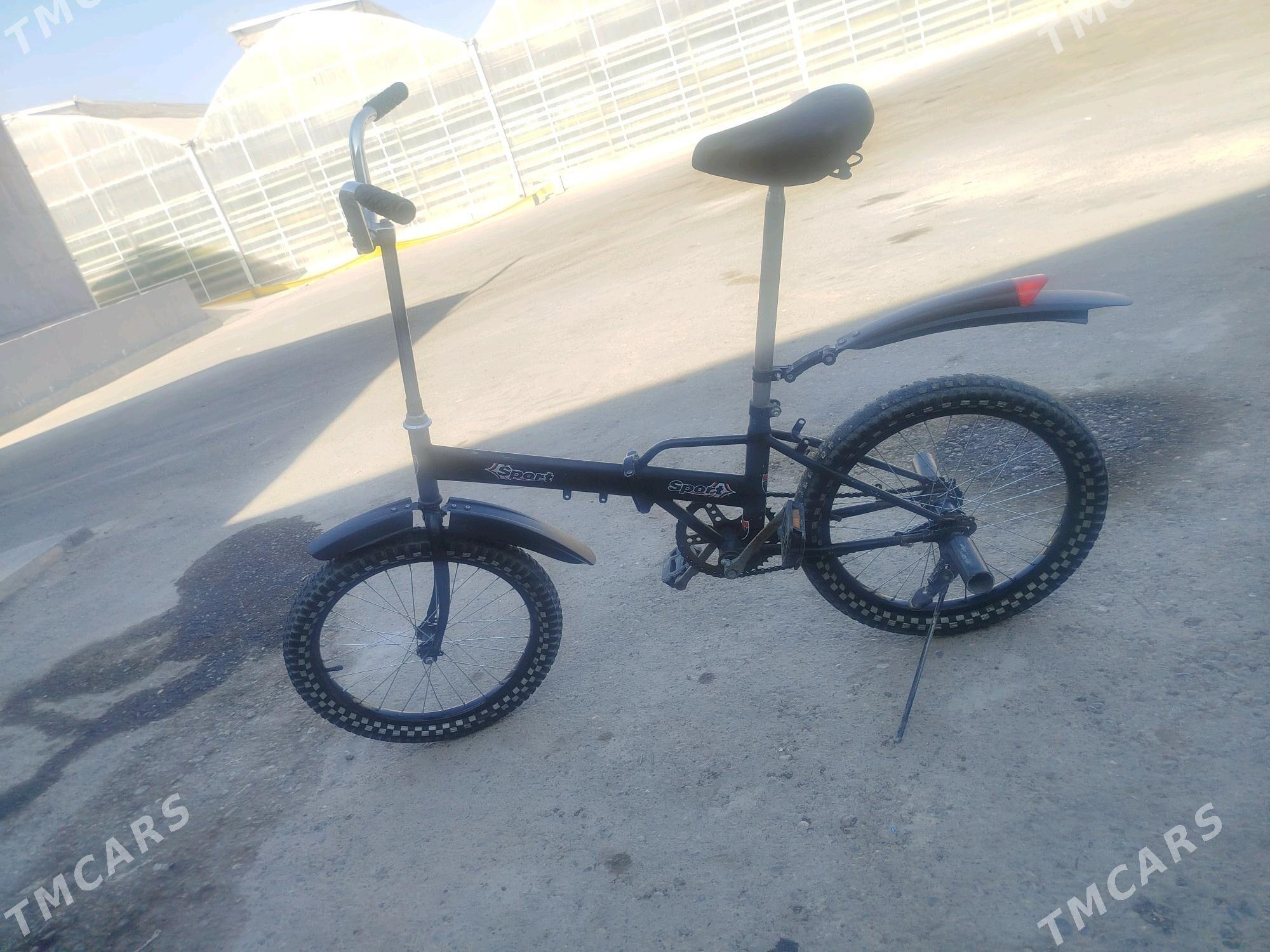 kama tigir - Änew - img 3