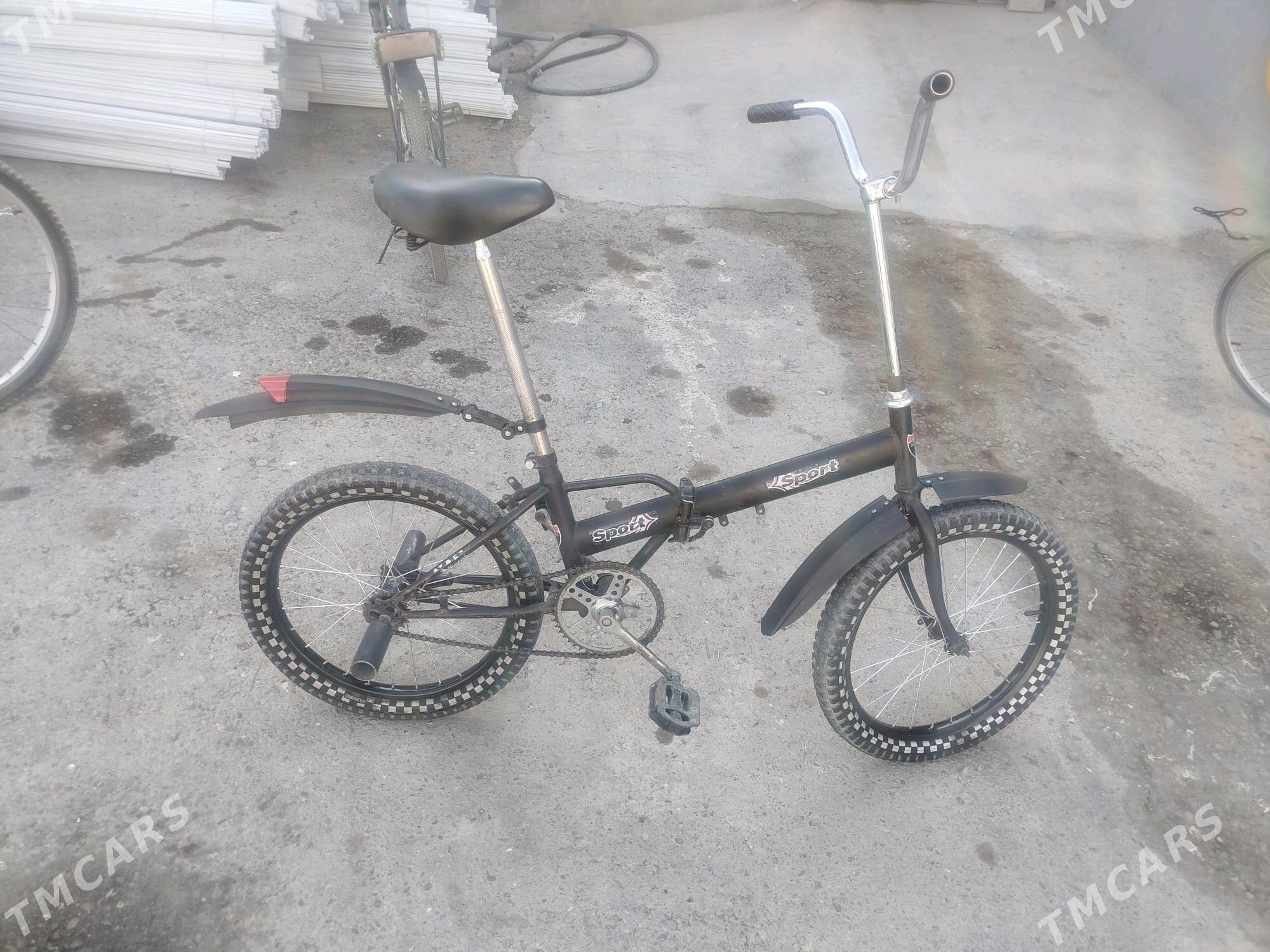 kama tigir - Änew - img 2