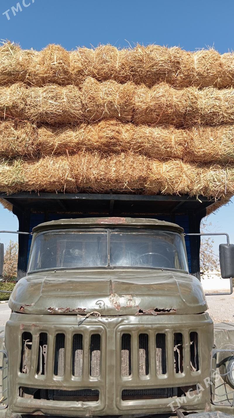 saman - Büzmeýin - img 3