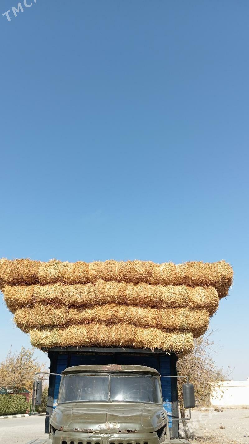 saman - Büzmeýin - img 2