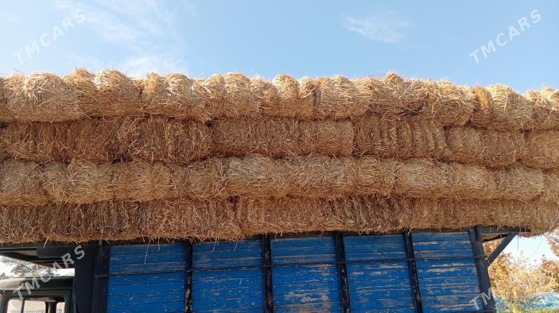 saman - Büzmeýin - img 4