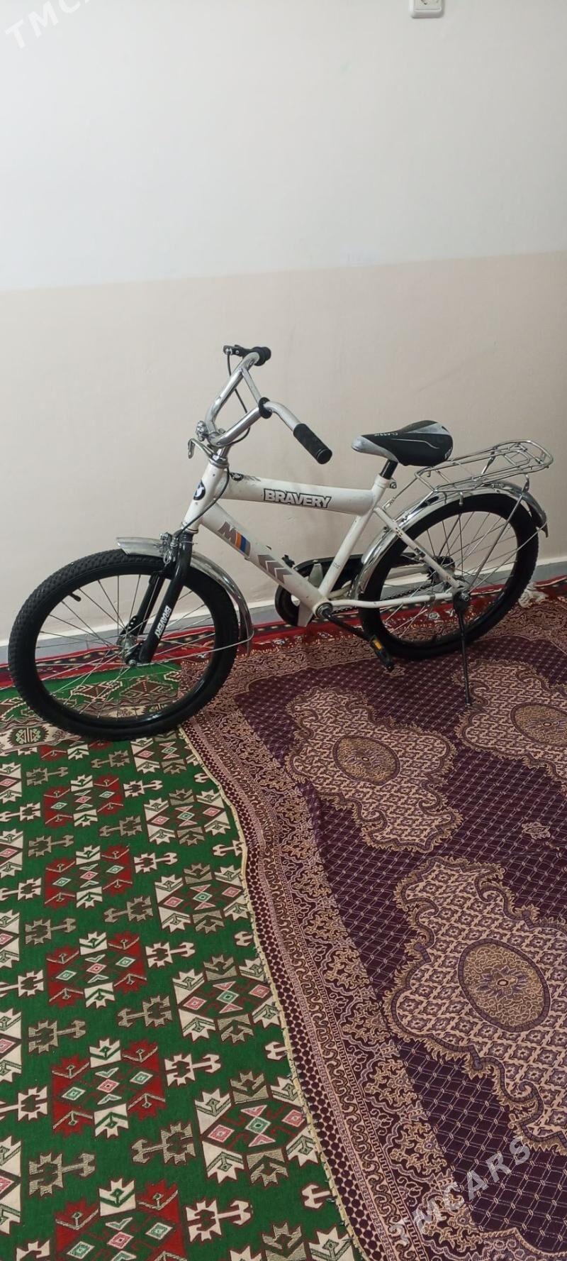 tigir - Gurtly - img 3