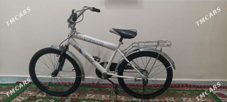 tigir - Gurtly - img 2