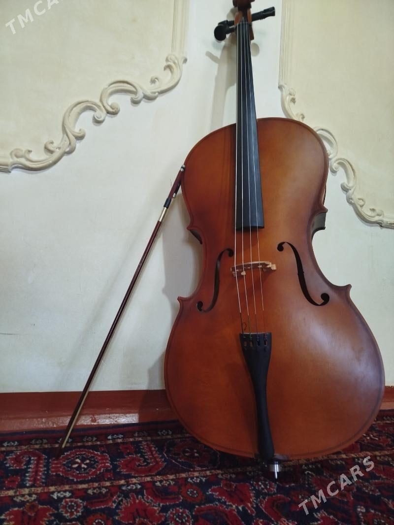 wiolencell - Halaç - img 1