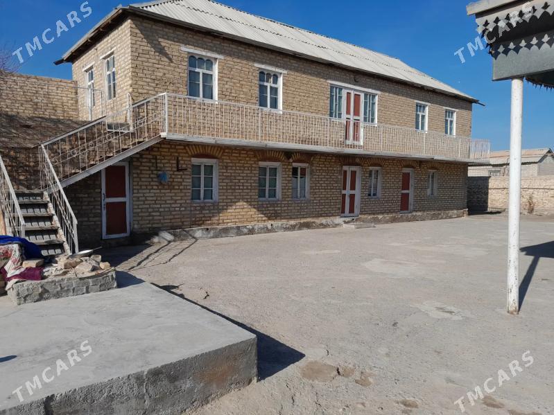 Satlyk jay - Мургап - img 3