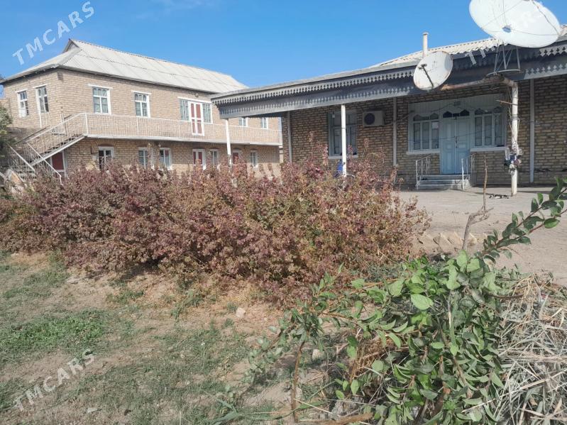 Satlyk jay - Мургап - img 4