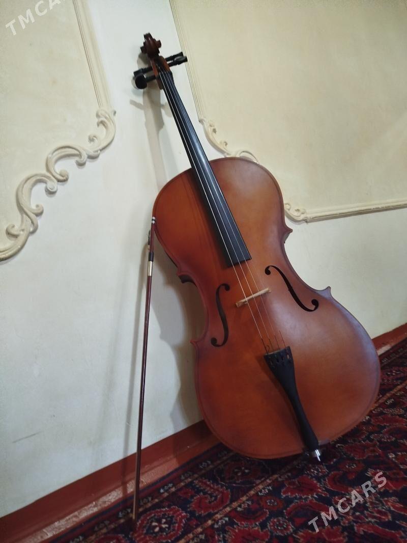 wiolencell - Halaç - img 4