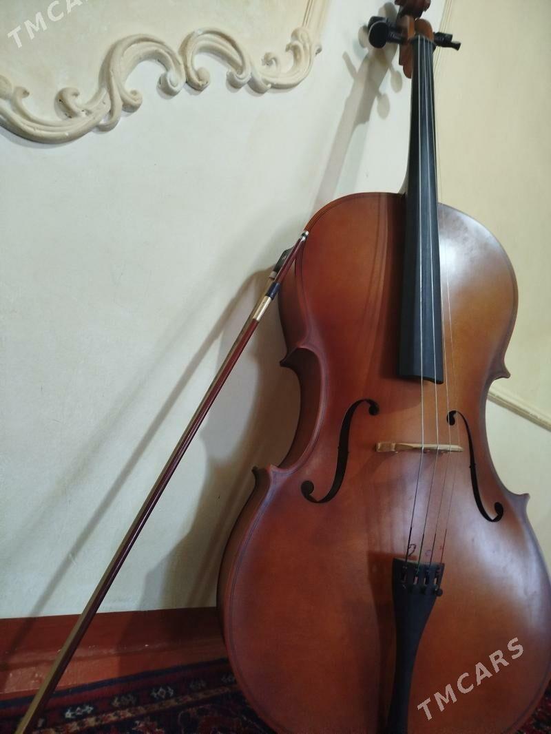 wiolencell - Halaç - img 3