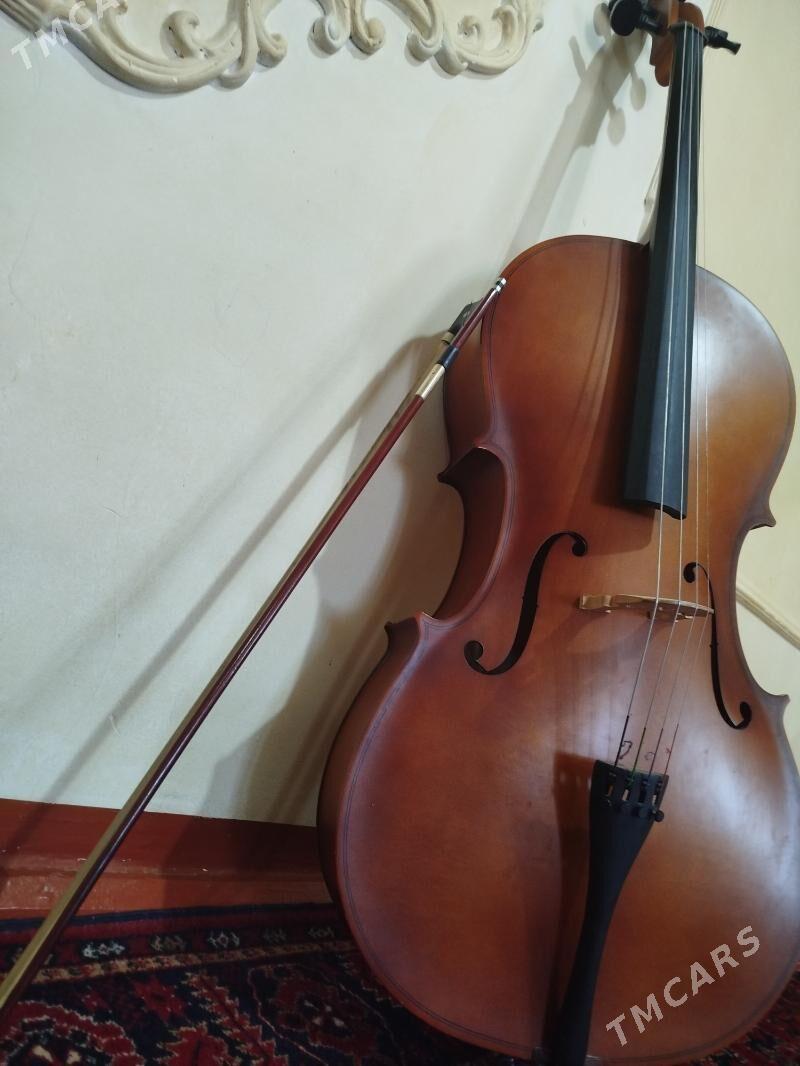 wiolencell - Halaç - img 2