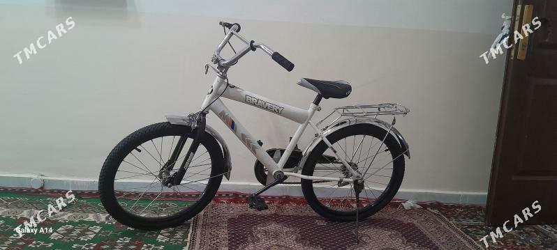 tigir - Gurtly - img 1