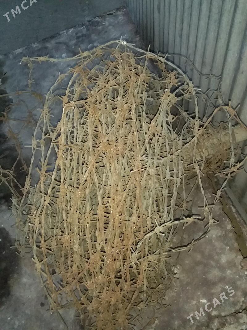 провалка калючка - Türkmenbaşy - img 2