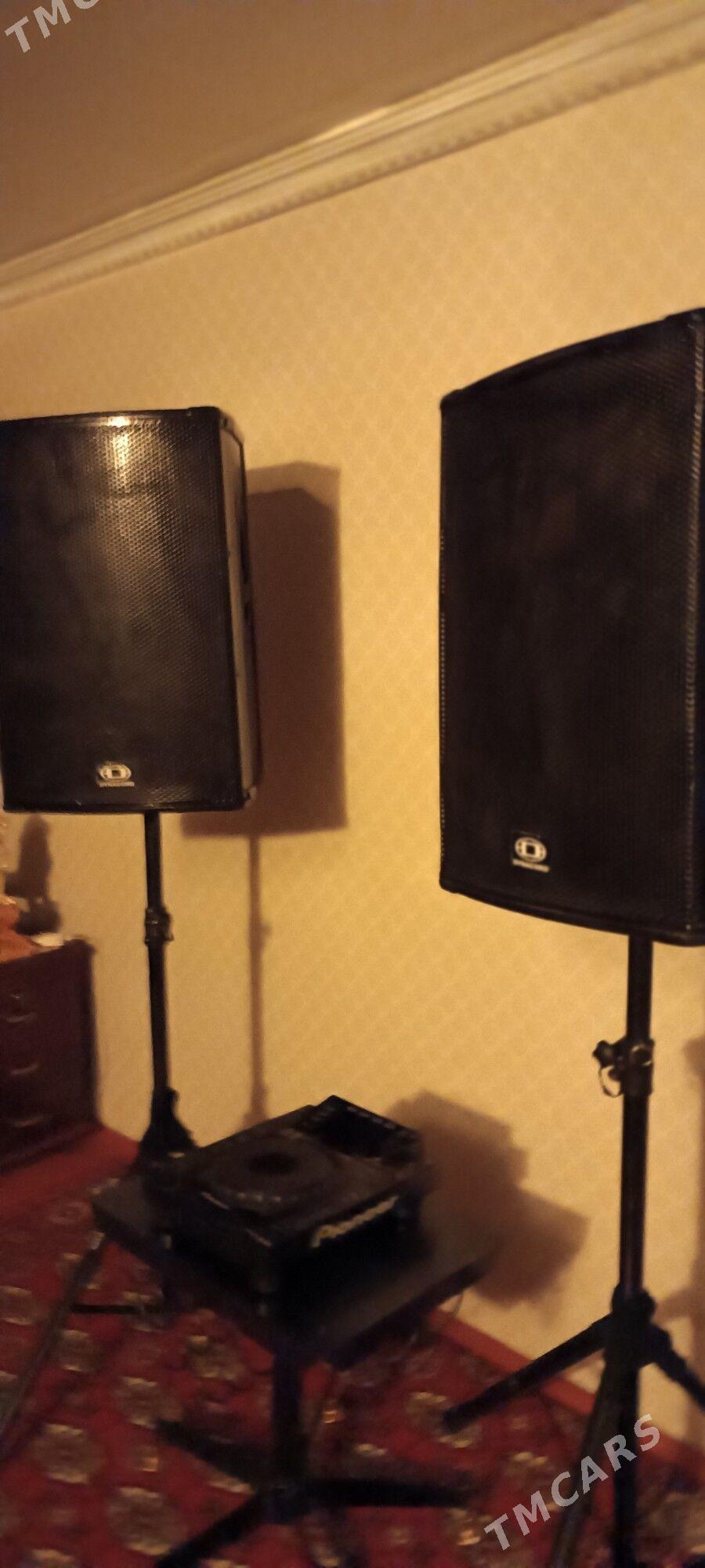 BerBehrenjer Kalonka - Mary - img 2