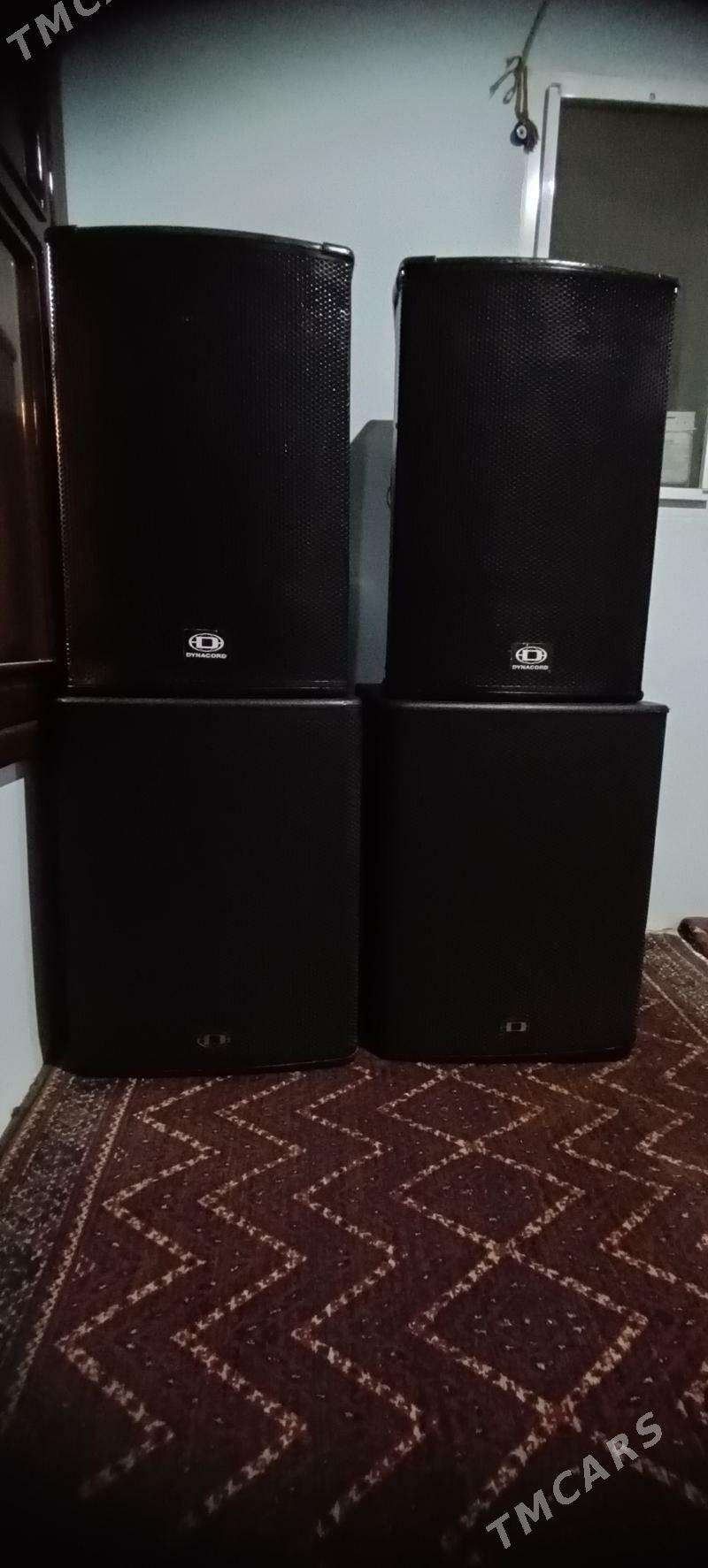 BerBehrenjer Kalonka - Mary - img 1