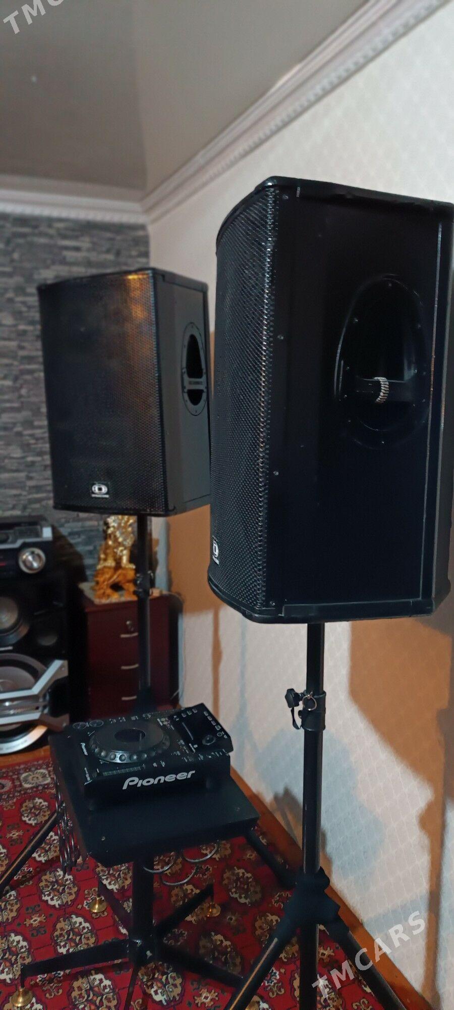 BerBehrenjer Kalonka - Mary - img 5