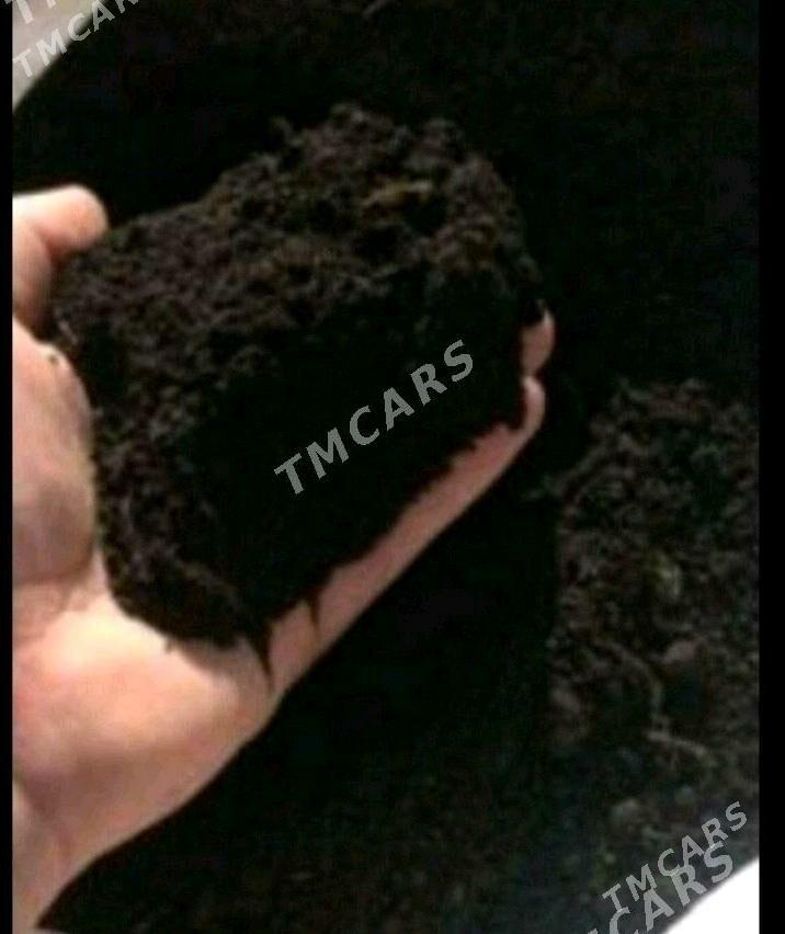 DERS BUTKAMENT MİTİ CAGE - Бедев - img 3