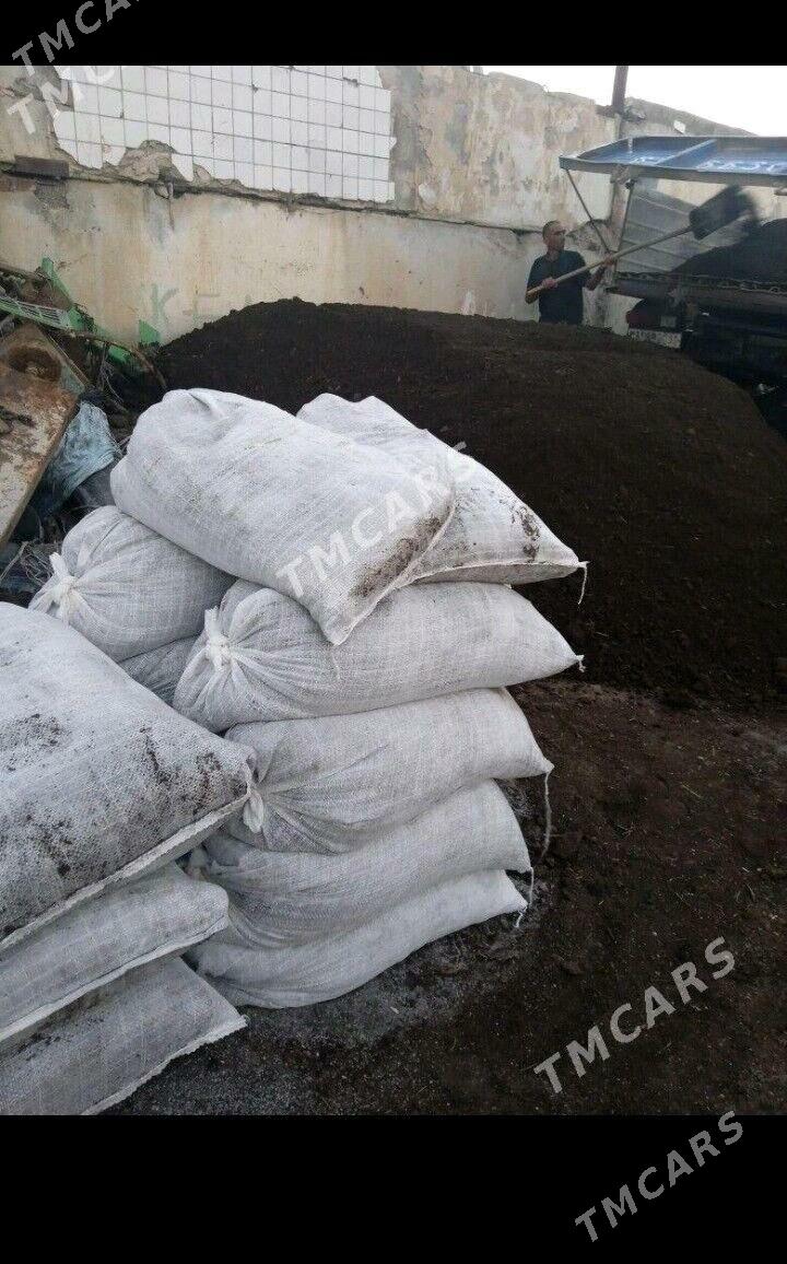 DERS BUTKAMENT MİTİ CAGE - Бедев - img 2