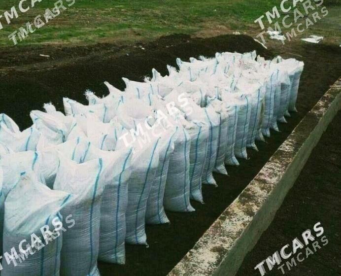 DERS BUTKAMENT MİTİ CAGE - Бедев - img 1