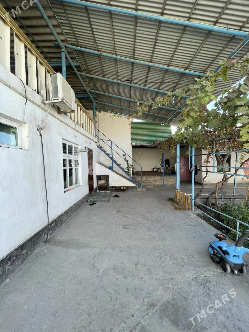 ANNEW PLAN JAY 6,5-SOTOK - Änew - img 3