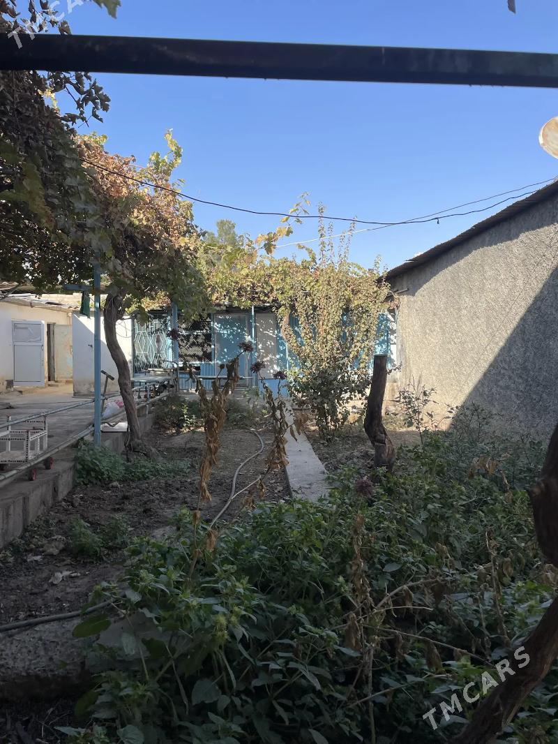 ANNEW PLAN JAY 6,5-SOTOK - Änew - img 9