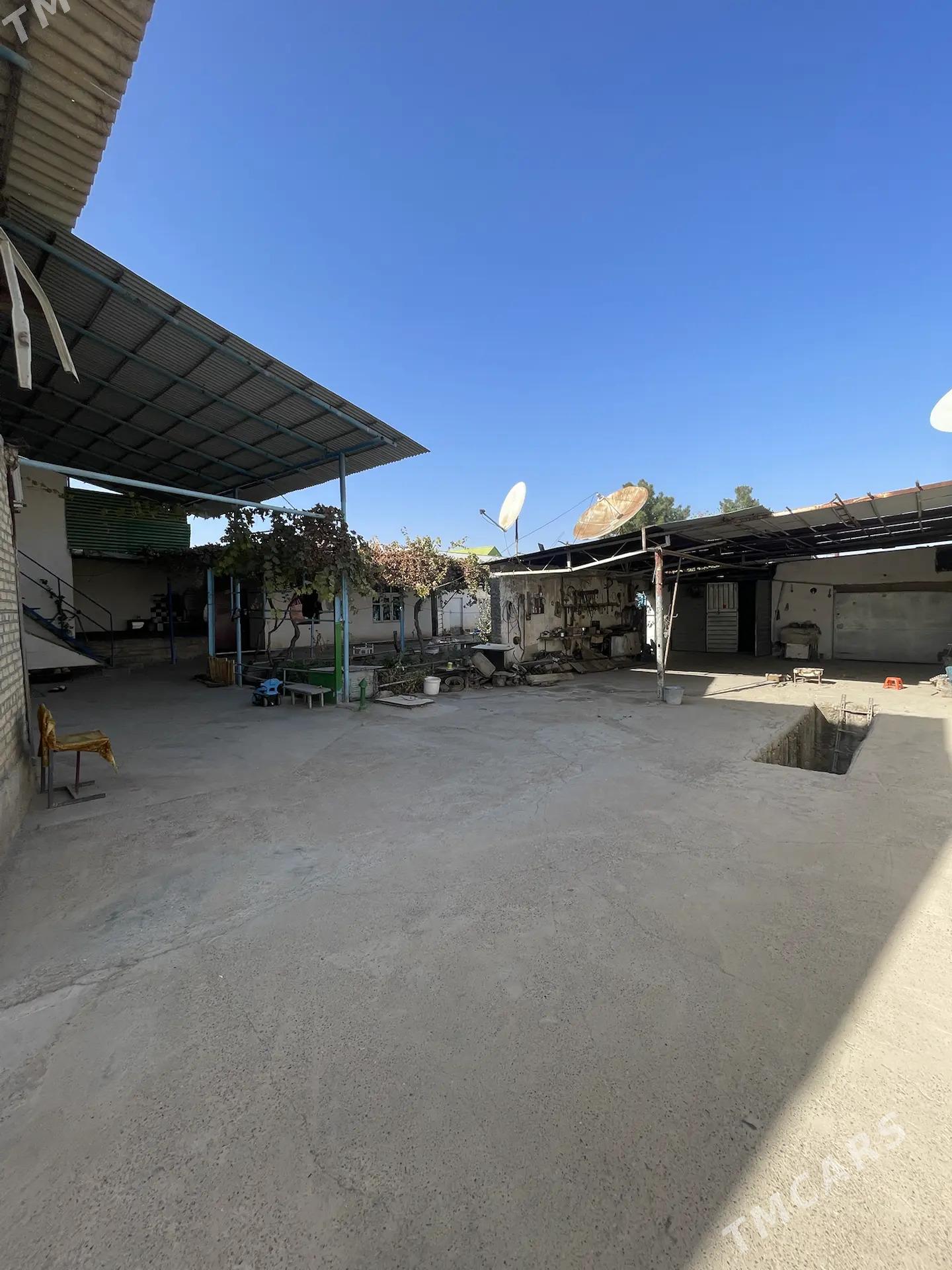 ANNEW PLAN JAY 6,5-SOTOK - Änew - img 7