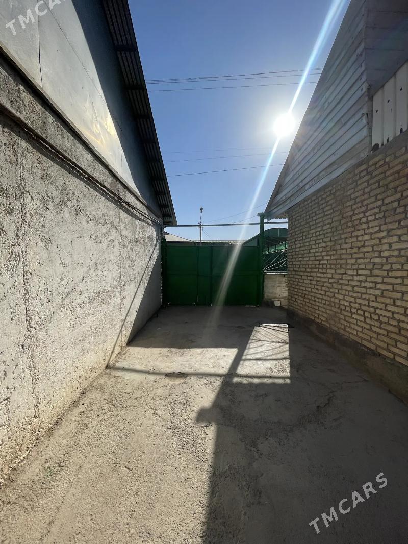 ANNEW PLAN JAY 6,5-SOTOK - Änew - img 6