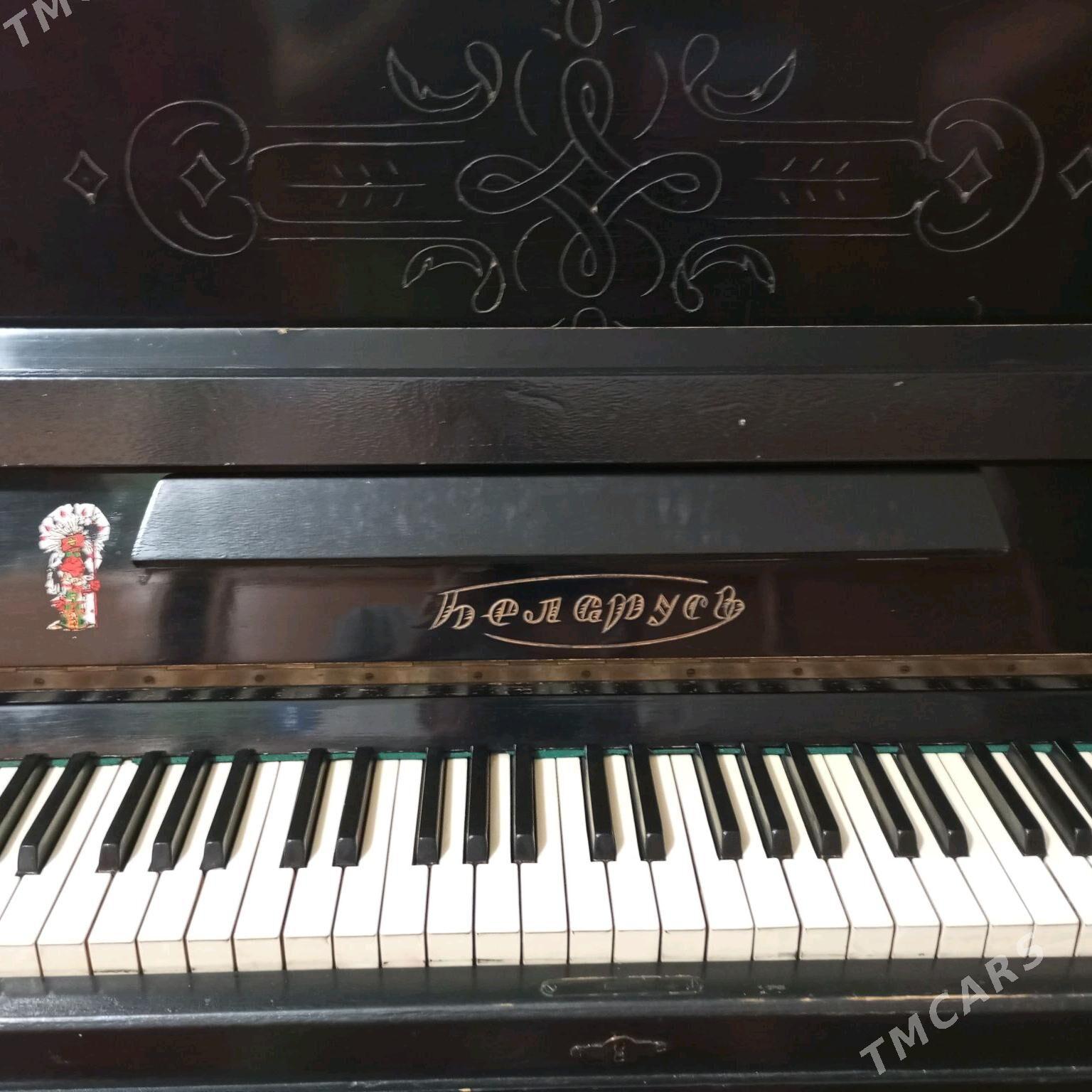 Pianino - Büzmeýin GRES - img 1