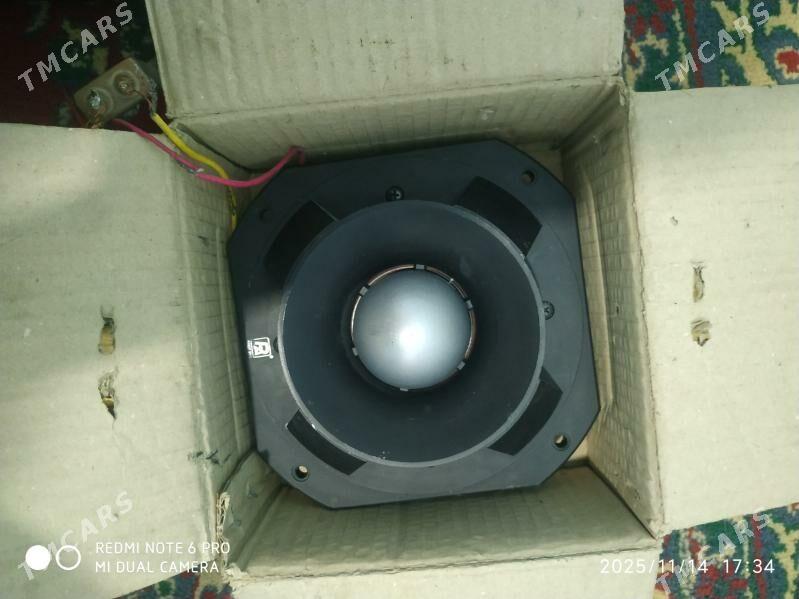 Kalonka - Daşoguz - img 4