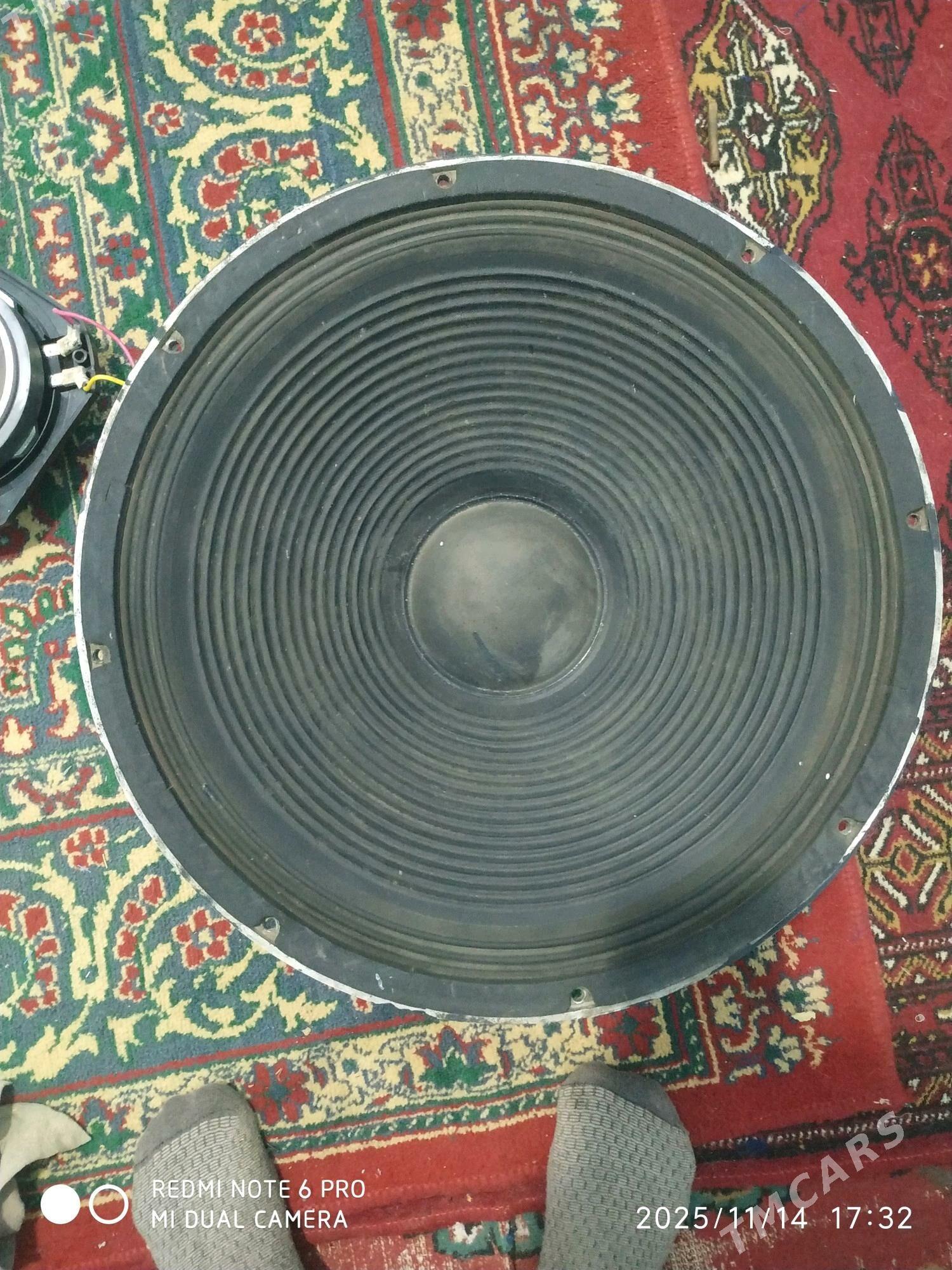 Kalonka - Daşoguz - img 1