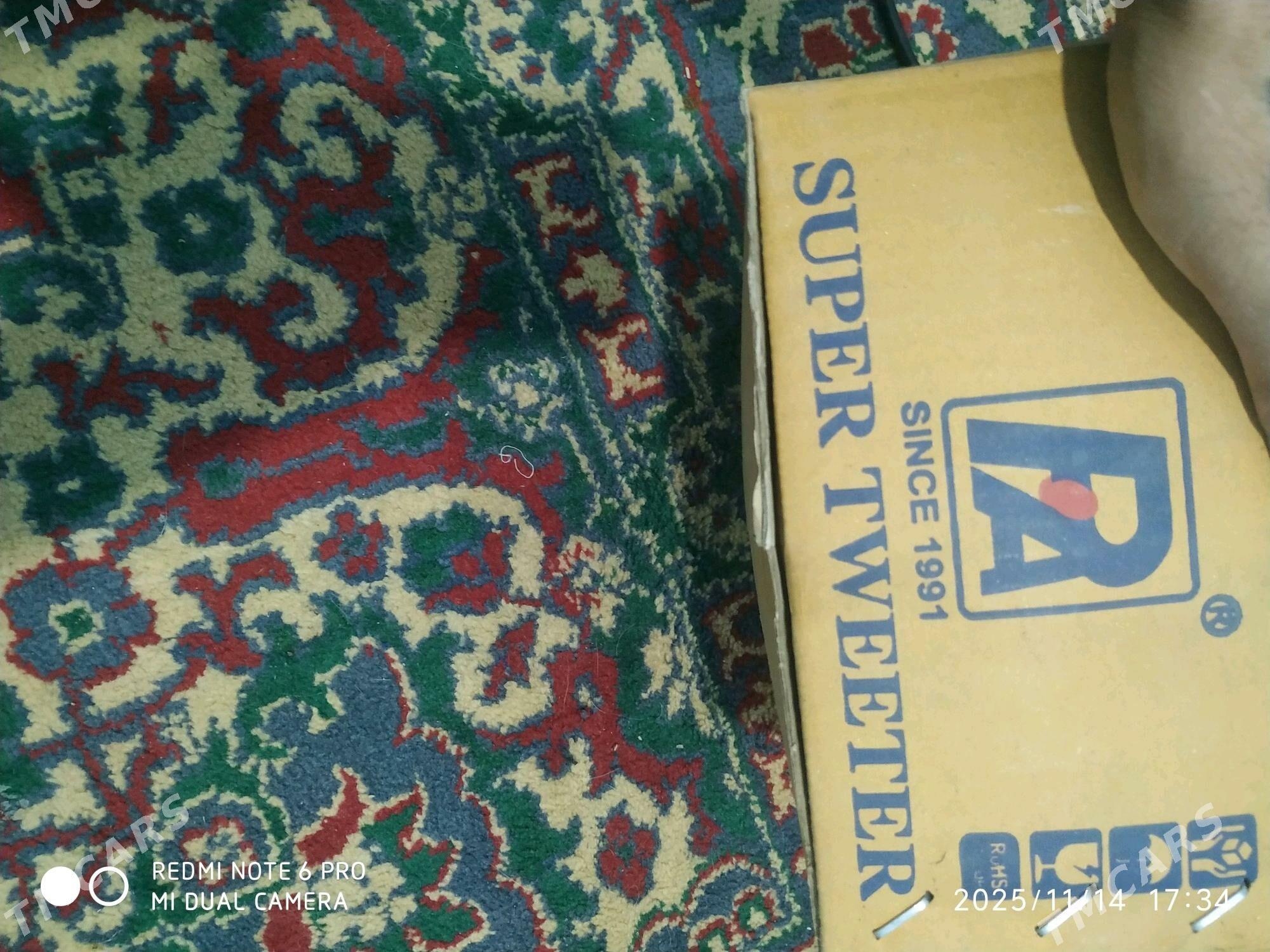 Kalonka - Daşoguz - img 5