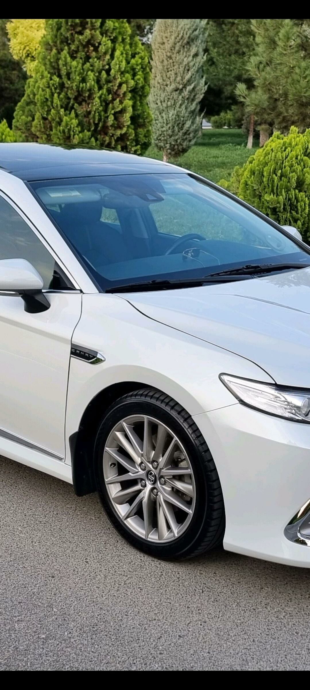 Yewropyka cemryn 18 12 500 TMT - Ашхабад - img 2