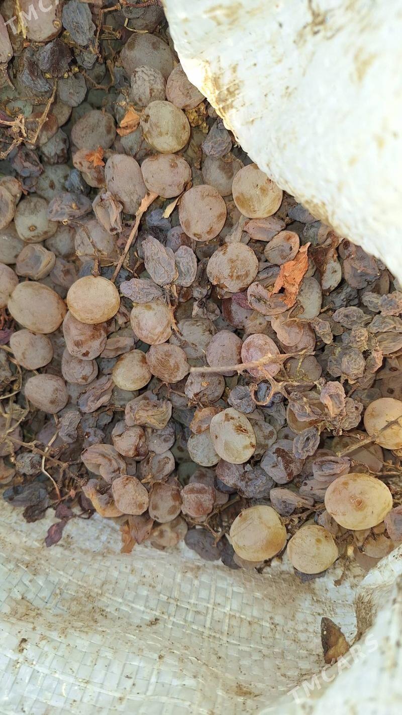 uzum - Бузмеин - img 5