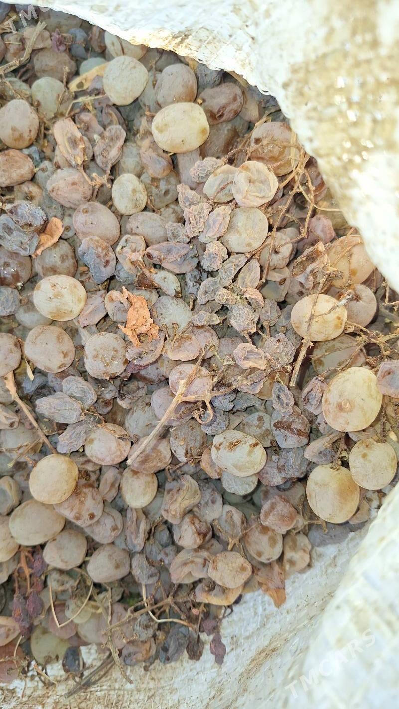 uzum - Бузмеин - img 2