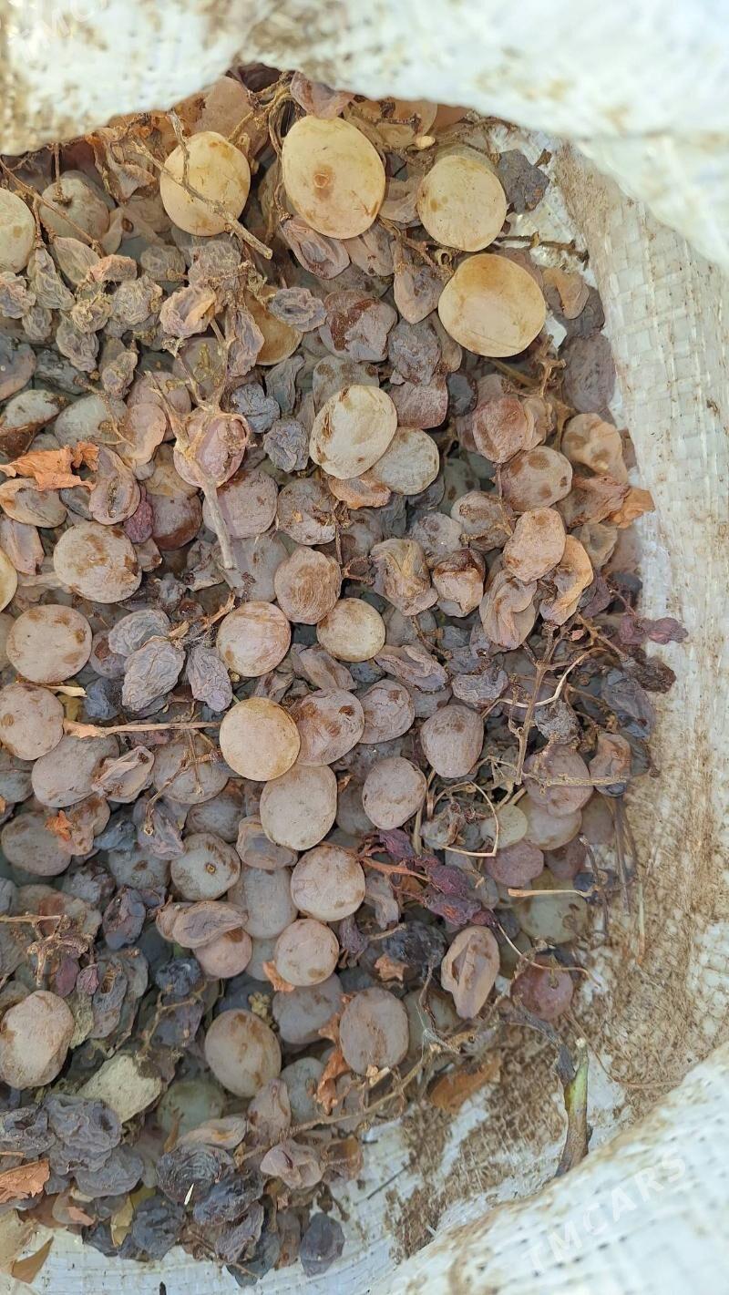 uzum - Бузмеин - img 6