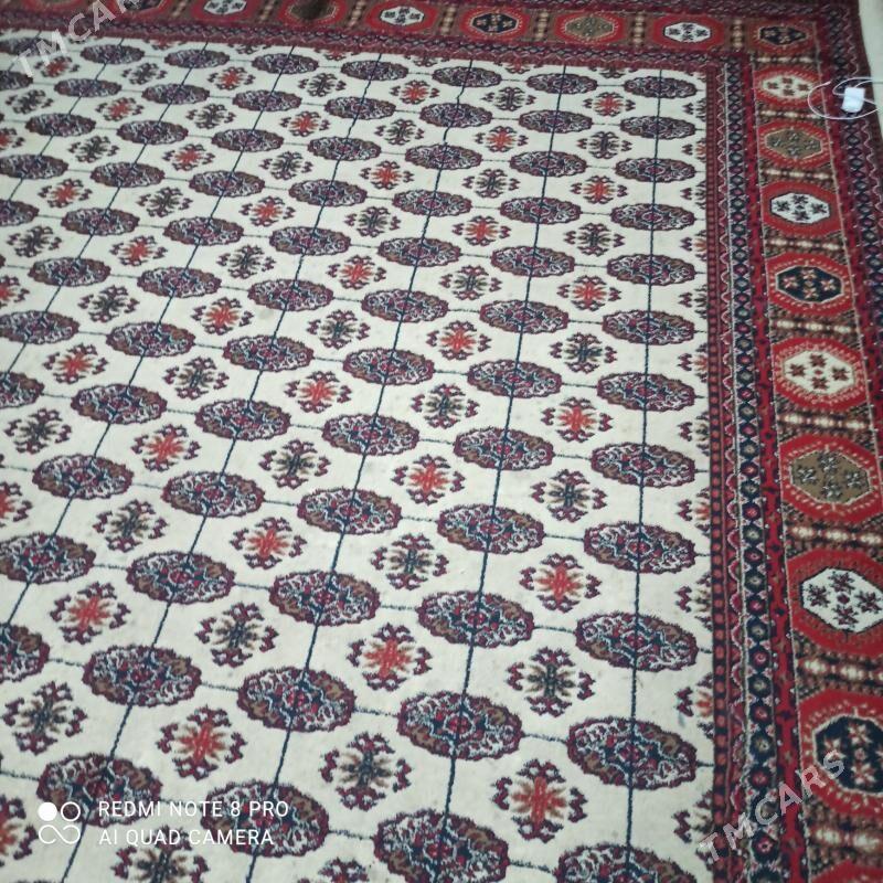 haly - Howdan "W" - img 2