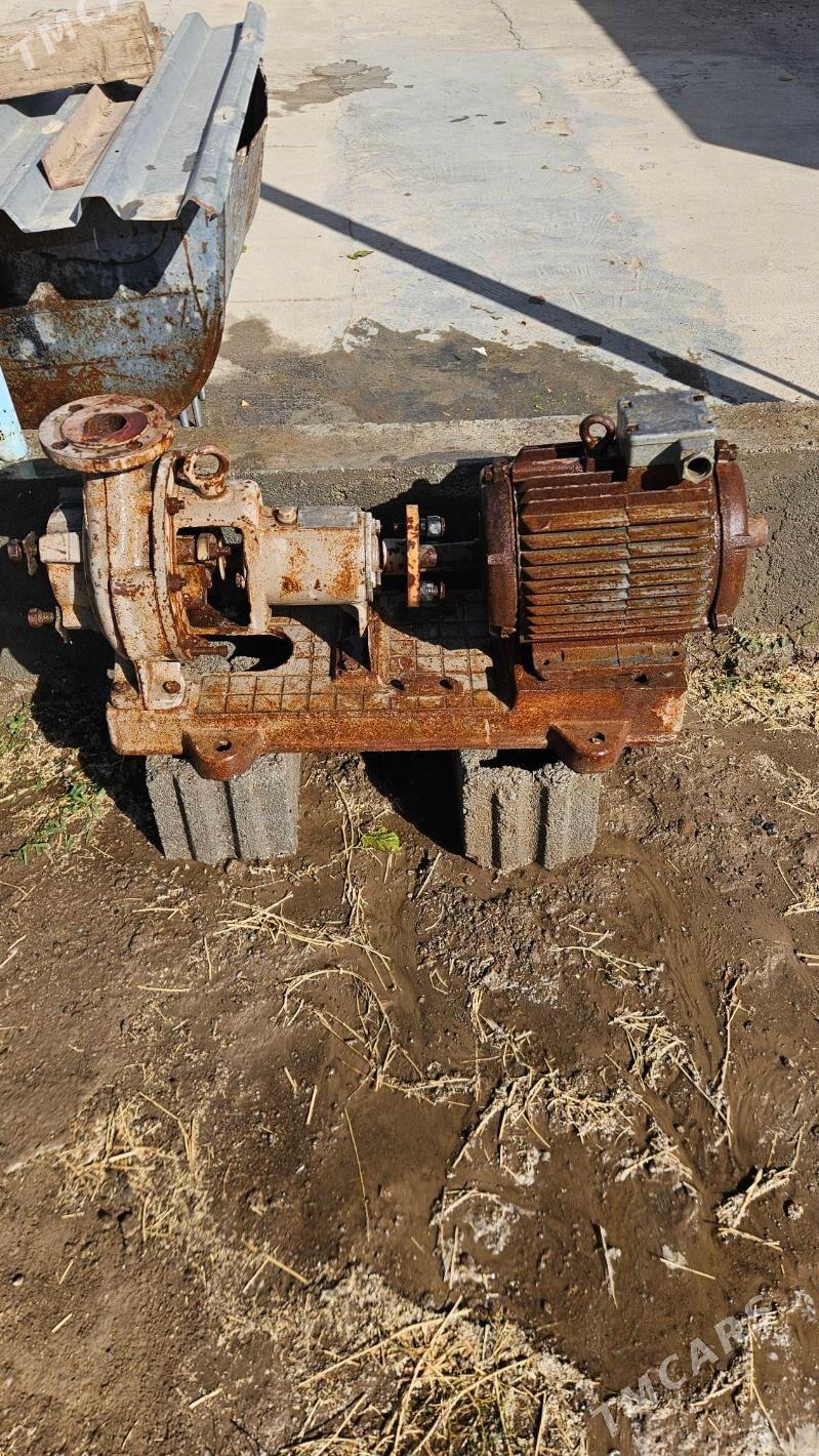 Suw Nasos - Ашхабад - img 3