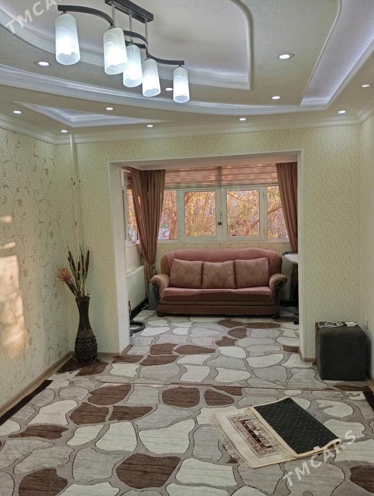 Arenda jay  - Мары - img 3