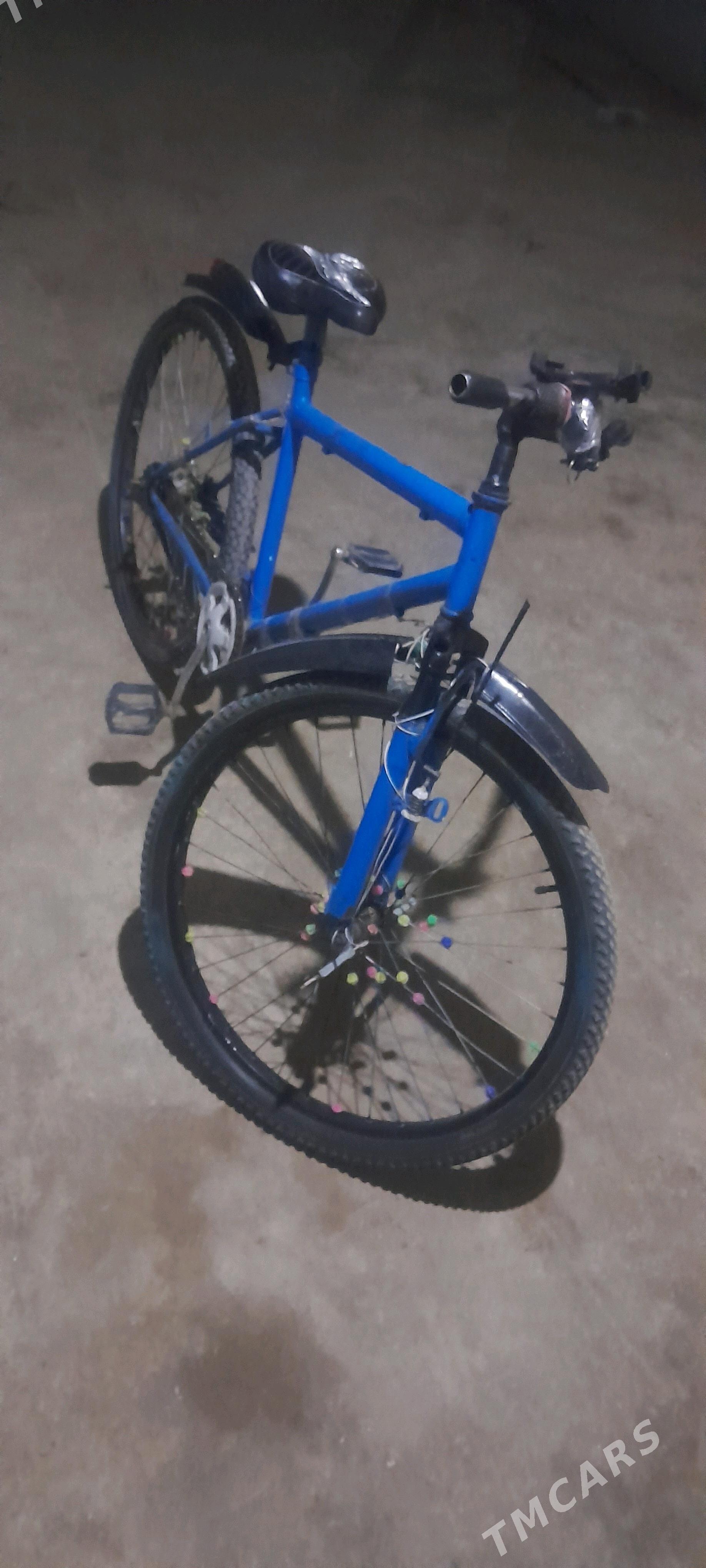 sport welosped - Дянев - img 2