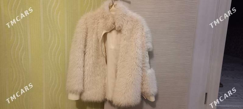 şuba - Balkanabat - img 2