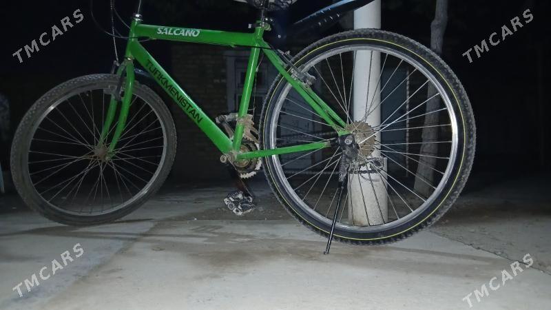 welsipet - Sakarçäge - img 3