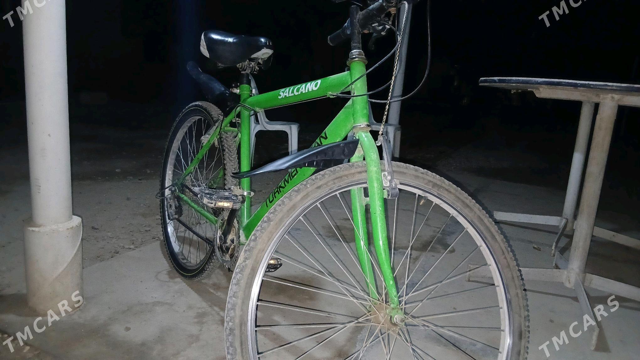 welsipet - Sakarçäge - img 2