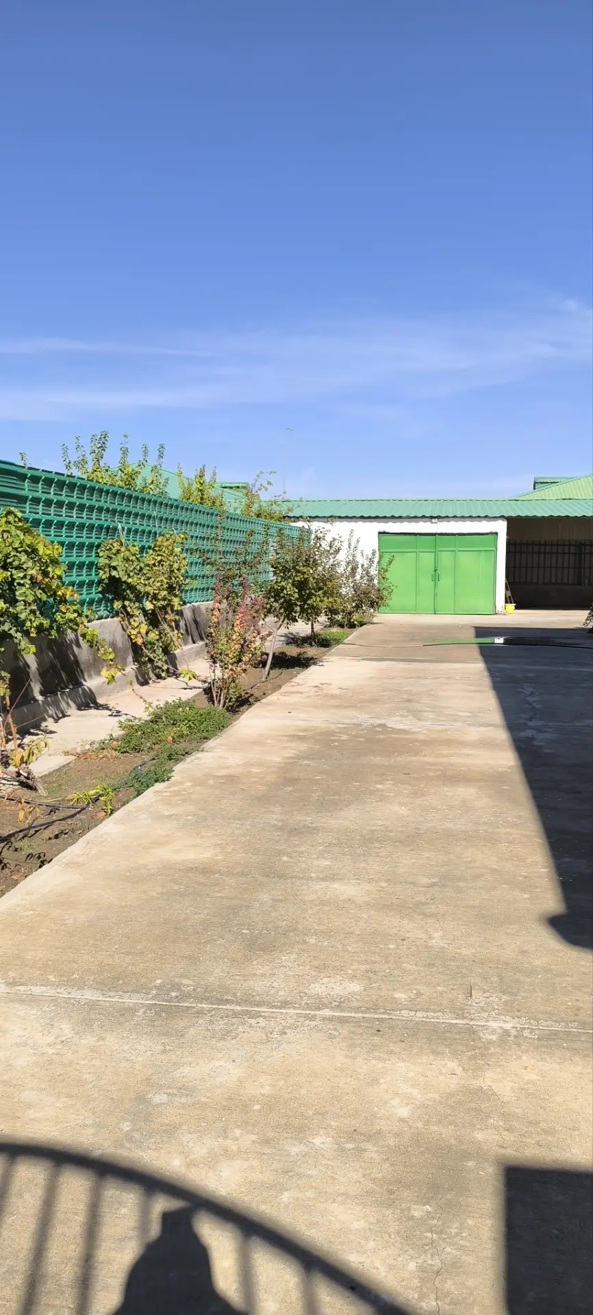 Arenda Taze Zaman - Aşgabat - img 2