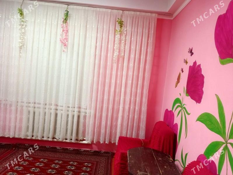 Ucaska jay - Gubadag - img 2