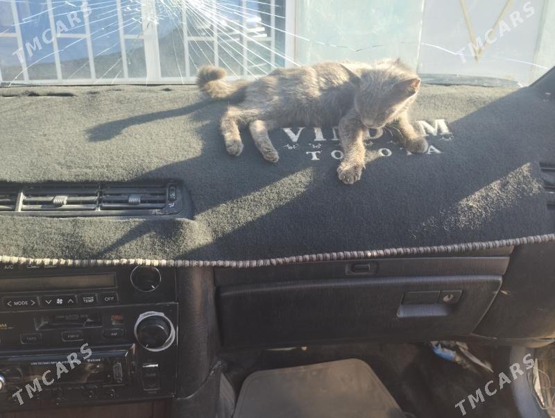 Toyota Windom 1994 - 20 000 TMT - Фарап - img 4