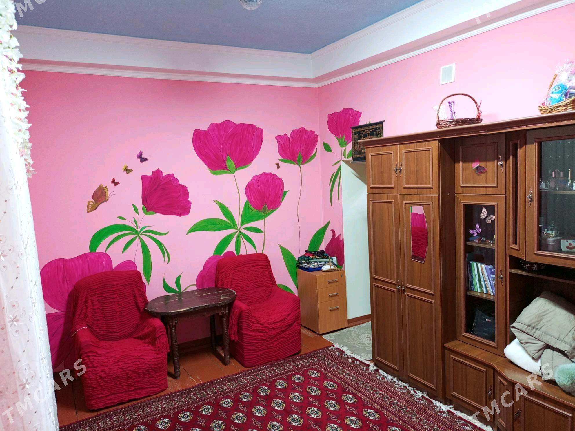 Ucaska jay - Gubadag - img 3