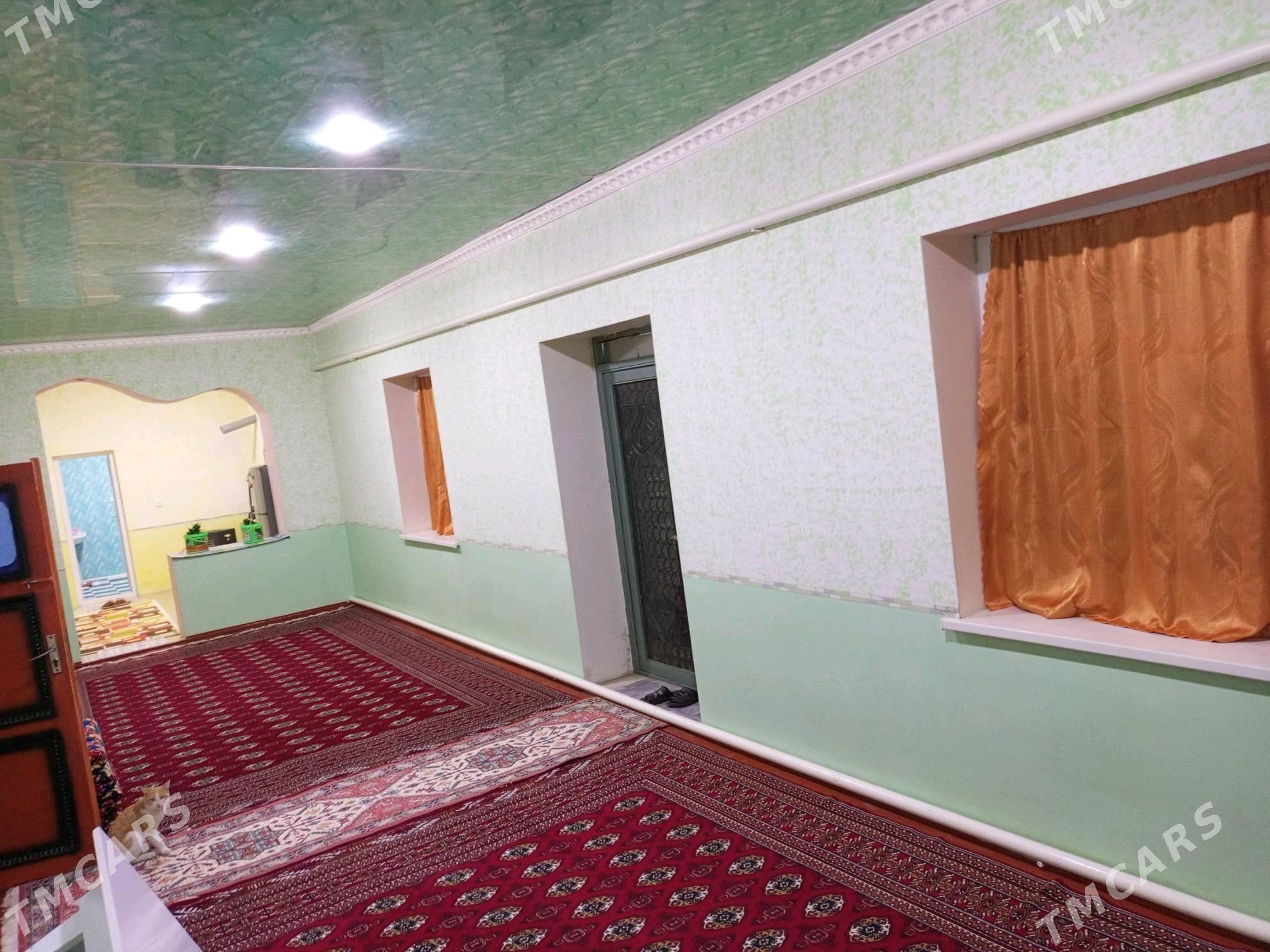 Ucaska jay - Gubadag - img 5