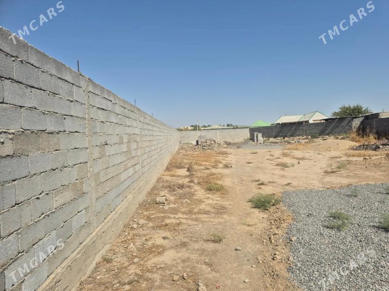 satlyk Bagyr mirewe - Aşgabat - img 1